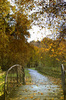 Autumn Walk: Autumn Walk