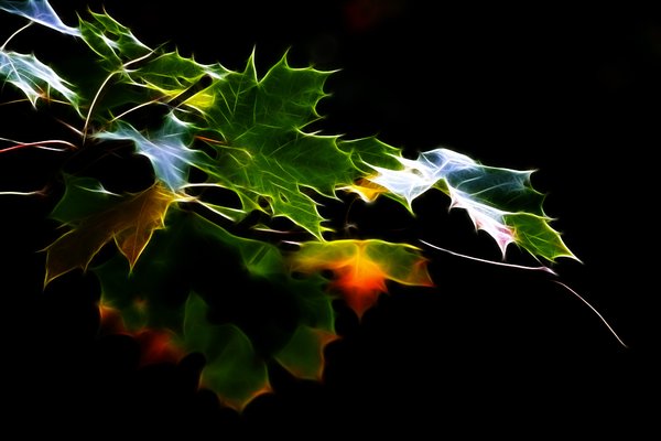 Autumn Leaves Fantasie: 