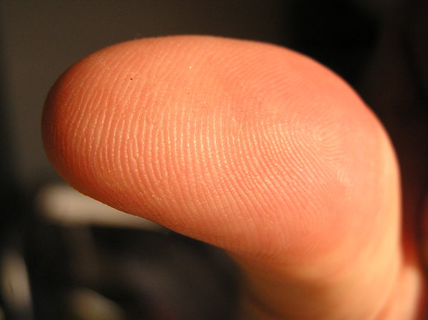 fingerprint: ...