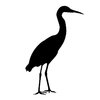 silhouette heron: Adobe Illustrator CS5