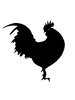 Silhouette Rooster: years ago I photographed this pesky rooster at a children's farm, and now it has finally become useful