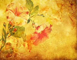 Botanical background: Morning Glory - A botanical drawing was used for this texture