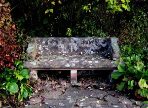 park bench in autumn: an old stone park bench in autumn