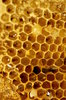 Honeycomb 2: Close-up of honeycomb