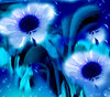 blurry flowers background: blurry flowers