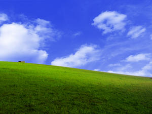 landscape: Windows desktop look alike landscape.
