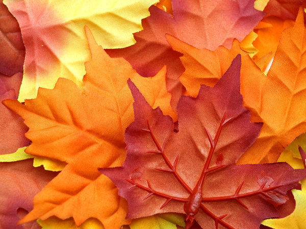 autumn leafs: autumn leafs; plastic