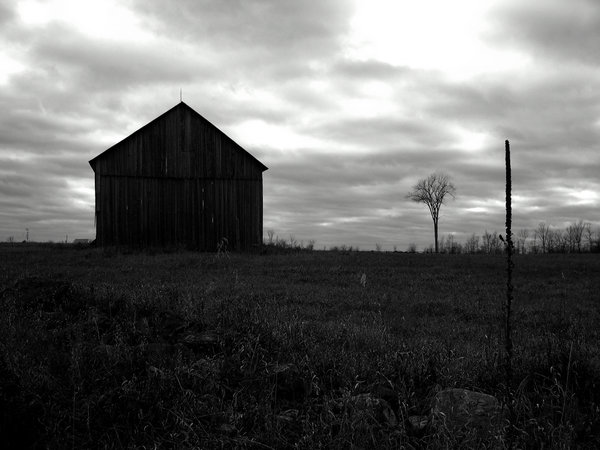 Rural decay: An abandoned barn in rural Ontario slowly falling into decay