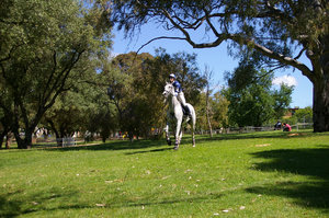 Cross Country 2: Adelaide International Horse Trials 2005