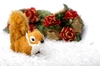 Squirrel in the snow: Teddy squirrel in snow with ornaments in the white background