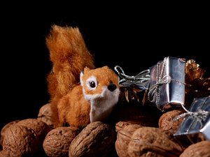 Christmas squirrel: A squirrel between wall nuts and gifts