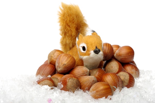 Squirrel, hazelnuts and snow: Small decorations squirrel with hazelnuts ind the snow