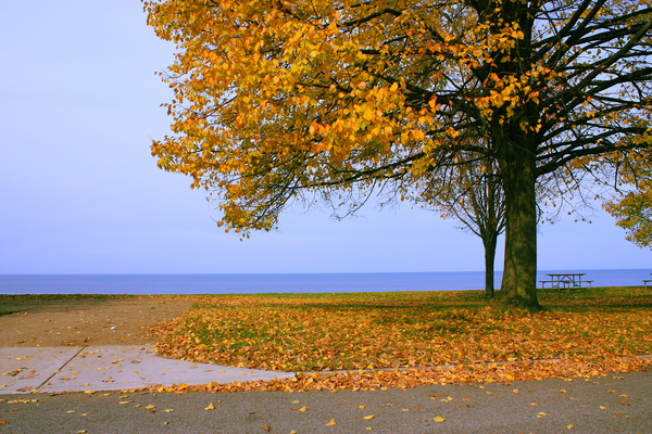 Autumn lake: A nice autumn setting at the Ontario lake, close to Toronto Canada.