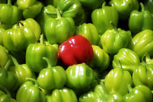 pepper: greek summer food