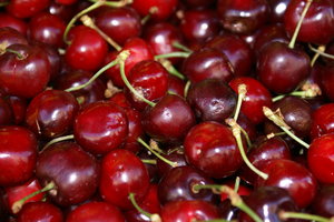 Close up on cherries: Close up on cherries