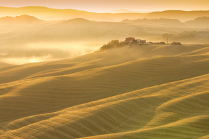Tuscany Hills at Dawn: 