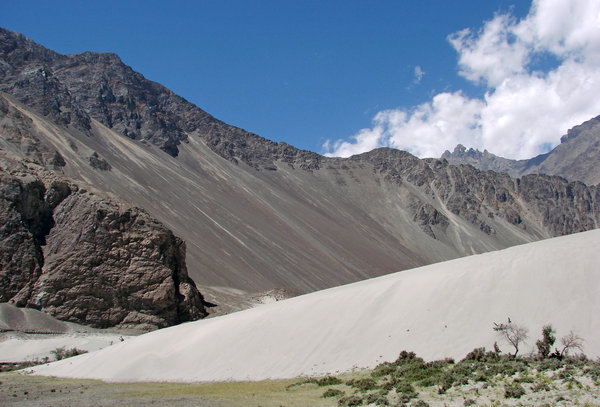 Changing Terrain: The Sand Dunes at Diskit are a unique sight, with snow capped mountains in the backdrop.