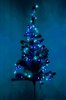 Christmas tree 2: dewy xmas tree 