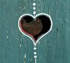 heart on wood 2: none