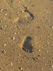 voetafdrukken in het zand: 