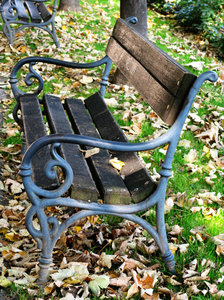 bench in autumn: 