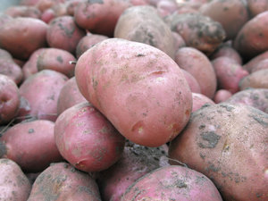 farm potatoes: none