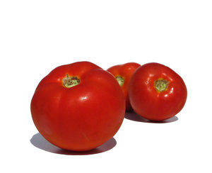 fresh tomatoes: none