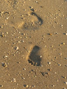 voetafdrukken in het zand: 