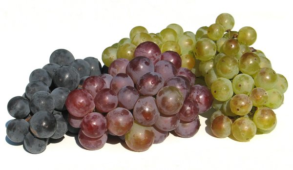 kleurrijke druiven 1: 