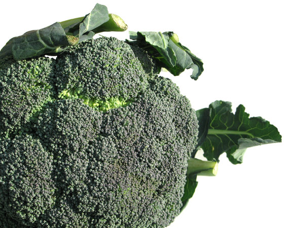 broccoli: none