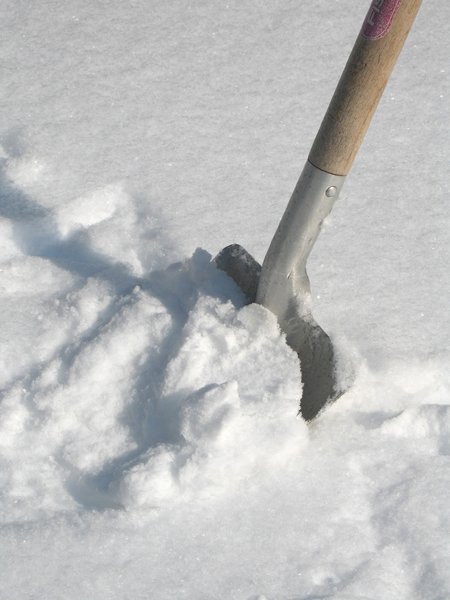 shoveling the snow: none
