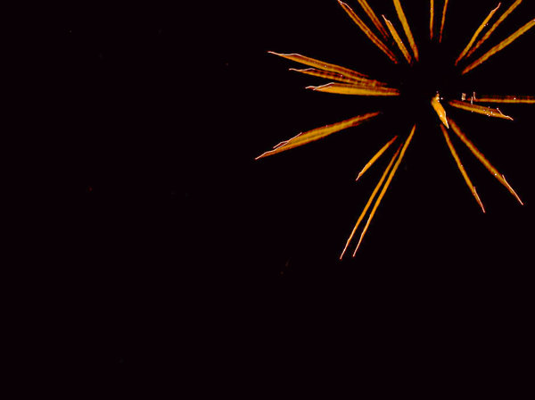 Fireworks: Fireworks