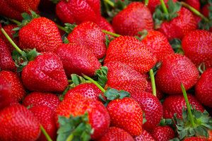 Summer strawberries: Strawberries on display, San Francisco 2008