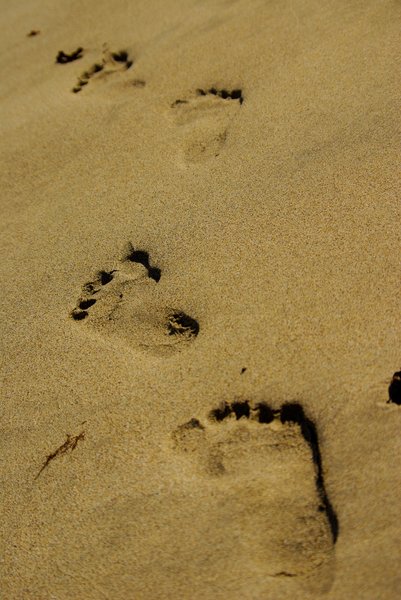 Follow my steps: Steps in the sand