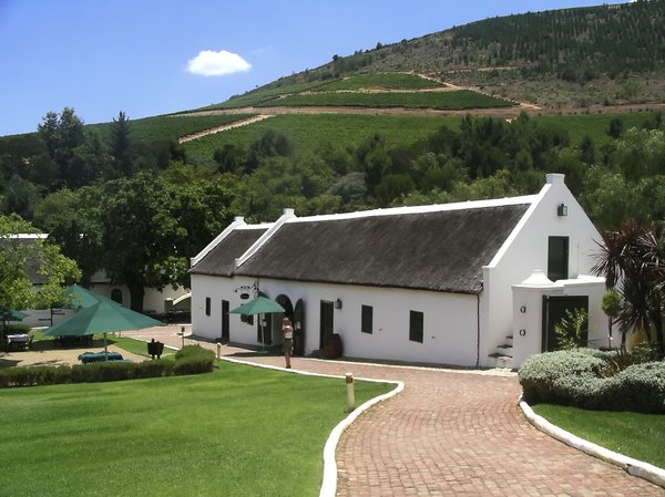 Wine Estate 1: Morgenhof wine estate, Stellenbosch South Africa