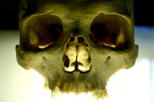 Skull 03: 