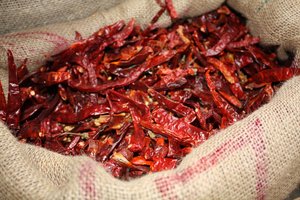 Chillies 1: Dried chillies in a sack