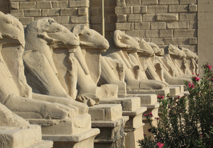 Karnak sphinxes: Avenue of ram-headed sphinxes  outside the first pylon at Karnak Temple, Thebes, Egypt.