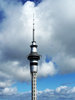 Auckland's Landmark: Sky tower, in Auckland, New Zealand. Taken from BNZ tower.I am not inclined to bungee from there... in fact not inclined to bungy at all...photography feels safer.sorry, note there is a slight lens flare as this was taken through glass with a point&sh