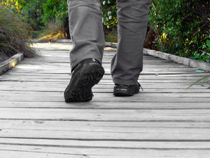 Walk the path: walking on boardwalk