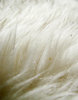 Sheep skin texture 3: sheep hair closeup