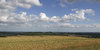 Hampshire landscape: Summer landscape of Hampshire, England. Three shot photomerge.