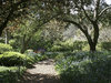 Garden path: Path through an English garden in spring.