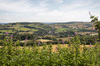 krajobraz Dorset: 