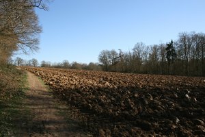 Ploughed field in spring: A ploughed field in early spring in West Sussex, England.