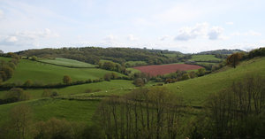 Devon landscape: Landscape in Devon, England, in spring.