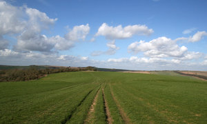 South Downs 5: 