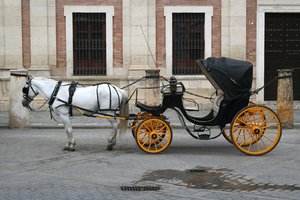 Horse and carriage: A horse and carriage in Seville, Spain.