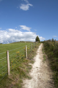 Rural footpath: A footpath on the South Downs, West Sussex, England.