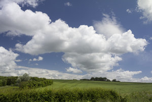 English countryside: Early summer landscape in Hampshire, England.